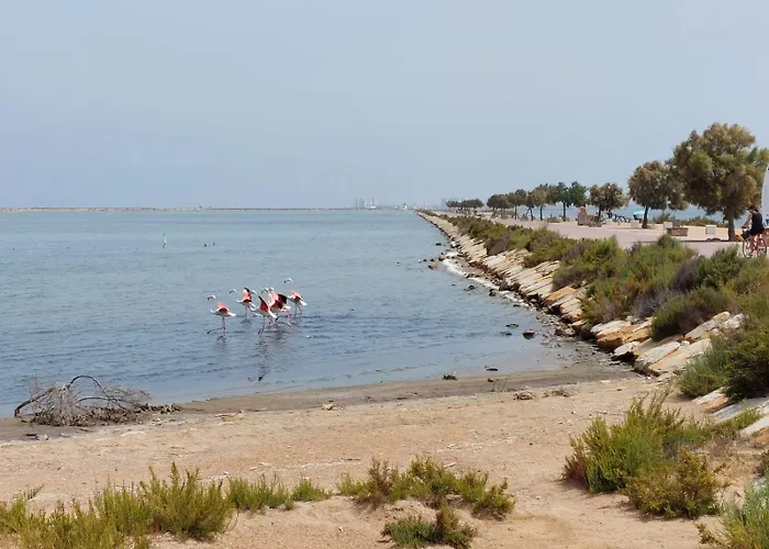 Torrevieja4u Front Sea View Apartamento Torrevieja